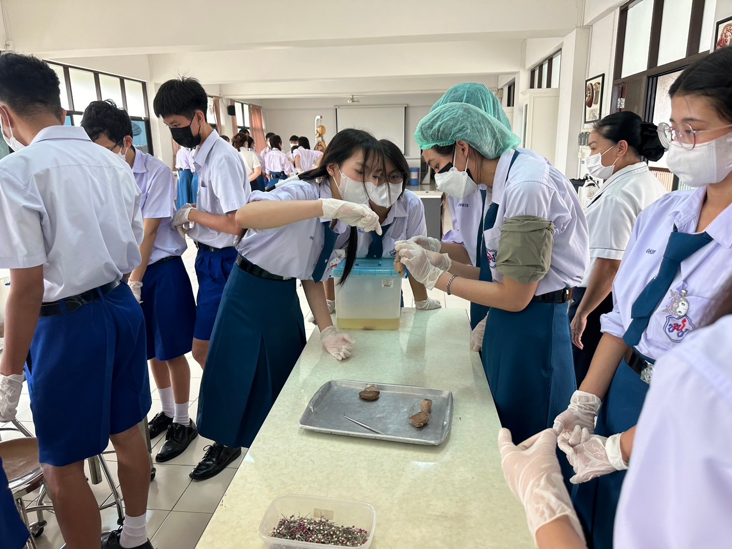 คณะกายภาพบำบัด วิทยาลัยเซนต์หลุยส์ มีโอกาสได้ต้อนรับ คณะคุณครูและนักเรียน จำนวน 24 คน จากโรงเรียนเชนต์ฟรังซีสเซเวียร์ 